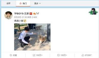 王暖暖最新爆料微博是真的吗,王暖暖最新爆料微博真实性揭秘