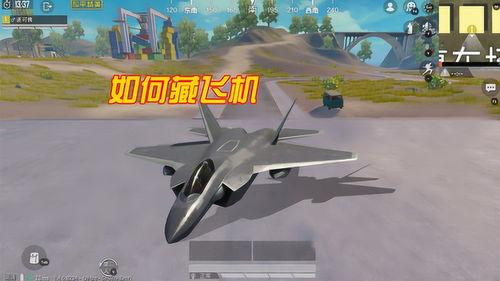 和平精英飞机最新爆料,飞机玩法大揭秘，空中战场即将开启！